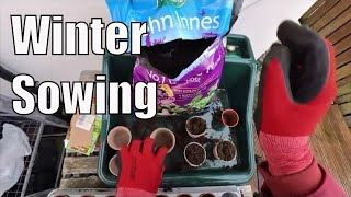 Winter Sowing  January Seeds  Allotment for Beginners [upl. by Tolman583]