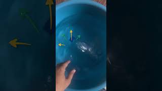 Buoyancy explained in an easy way  shorts science trending [upl. by Ahsiekyt]