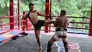 Superbon Banchamek Crisp Technique Muay Thai Pad Work Training Highlight 1 [upl. by Atinad295]