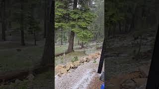 Cloudcroft Monsoon Rain amp Hail  July [upl. by Biron]