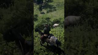 OSO PARDO con CUCHILLO reddeadredemtion2 reddeadredemption gaming gameplay rdr2 games [upl. by Vento]