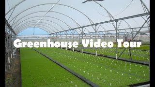 Redpath Greenhouse Video Tour [upl. by Brandice]