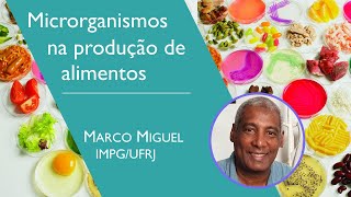 Microrganismos na produção de alimentos [upl. by Ynhoj]