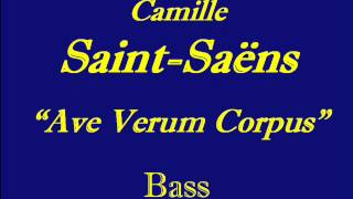 BassAve Verum Corpus SaintSaens [upl. by Inness]