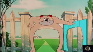 funny cartoon cartoon dog [upl. by Neelahtak]