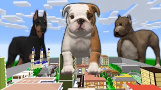 EFEKAN VE KÖPEĞİ ŞEHRE SALDIRDI 😱  Minecraft ZENGİN FAKİR HAYATI [upl. by Ahsotan525]