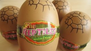 Reptile 3D Puzzle Surprise Eggs [upl. by Yasdnil]