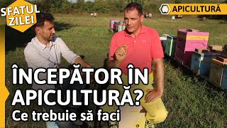 ÎNCEPĂTOR ÎN APICULTURĂ Ce trebuie să faci Sfatul zilei [upl. by Ahsei975]