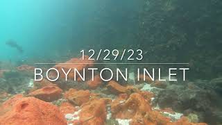 Boynton Inlet Underwater Camera Tropical Fish Paradise [upl. by Aicelf675]