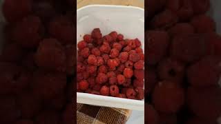 Very Simple Raspberry Preservation farming gardening garden [upl. by Airoled]