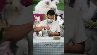 Essential lopeared rabbit food for rabbit breeding [upl. by Maggy117]