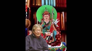 Dungsey Thinly Norbu Rinpoche Teaching  Himalayan Buddhist Monks [upl. by Nnazil]