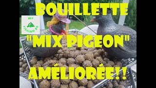 LA BOUILLETTE quotTYPEquot POUR LES SPECIMENS Une Recette bien équilibrée qui COGNE FORT [upl. by Eenobe]