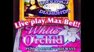 MAX BET Davinci Diamonds Slot Machine White Orchid Slot Live PlayBy IGT [upl. by Iy]