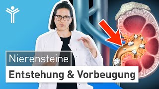 Nierensteine – Was tun Entstehung und Vorbeugung einfach erklärt [upl. by Ardnekan58]