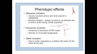 Phenotypic Effects of Mutation [upl. by Merrill]