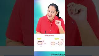 1 minute learning Exotoxin Versus Endotoxin [upl. by Eki882]