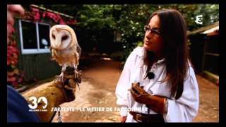 The job of falconer  Le métier de fauconnier au Puy du Fou 30 Millions dAmis Soustitres [upl. by Ellinehc261]