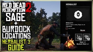 HOW TO FIND SAGE  BURDOCK ROOT LOCATIONS  CRAFT 7 ITEMS USING SAGE  HERBALIST 3  RED DEAD [upl. by Callery]