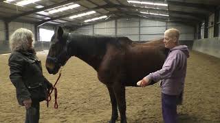 Equine Therapy 20231201 Friday video 2 [upl. by Llewkcor]