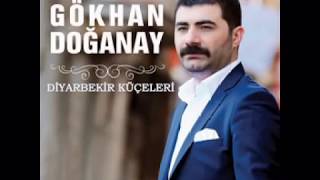 Gökhan Doğanay  Diyarbekir Küçeleri 2016 [upl. by Willms804]