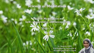 Guided Meditation on SelfAwareness and Acceptance Meditation Challenge  Day 10 [upl. by Hajed64]