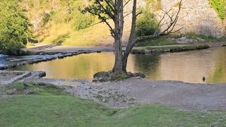 Dovedale stepping stones and Thorpe cloud [upl. by Nisa124]