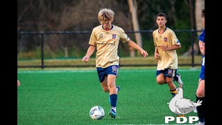 2023 U20s FNSW League 2 Men’s Hurstville FC vs Newcastle Jets Round 16 Highlights [upl. by Marwin514]