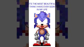 I think Sonic took drugs again [upl. by Aened]