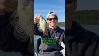 You NEED To Be Crappie Fishing With MINNOWS shorts fishing [upl. by Fai]