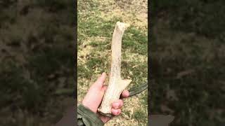 Bear Newcomb making a primitive knife using Georgetown chert and a deer antler fueledbynature [upl. by Nickelsen]