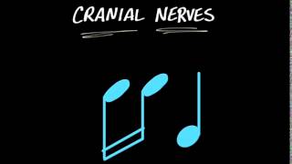 MY CRANIAL NERVE SONG [upl. by Refennej]