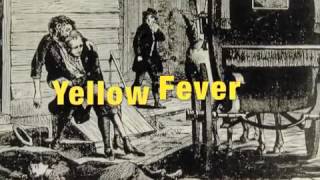 Fever 1793 Book Trailer [upl. by Inavoig]