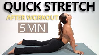 5 MIN QUICK FULL BODY STRETCHING EXERCISES FOR AFTER WORKOUT  Relax recover and gain flexibility [upl. by Ymot]