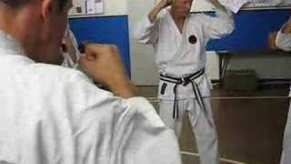 2 Okinawan karate Traditional Okinawan GojuRyu Karate training [upl. by Nessy]