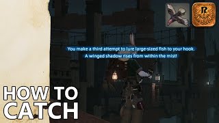 How to Catch Zorgor Condor in FFXIV quotEarlyquot Orange Scrip farm [upl. by Pauwles]