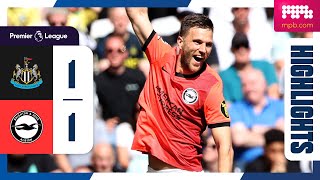 PL Highlights Newcastle 1 Brighton 1 [upl. by Ltihcox330]