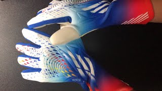 Adidas Predator Pro Goalkeeper Gloves Al Rihla FIFA World Cup unboxing [upl. by Bitthia]