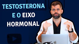 A Testosterona e o Eixo Hormonal  Dr Marco Túlio  Andrologista [upl. by Nonnahc]