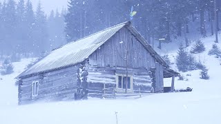 hiding in an abandoned log cabin during a snowstorm [upl. by Alby]