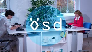 ÖSD Zertifikat ZC2 Mündliche Computeprüfung Sprechen [upl. by Risteau]