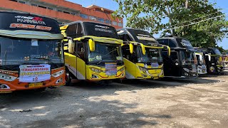 pantauan bus pariwisata paling update hari ini ‼️ [upl. by Anohr925]