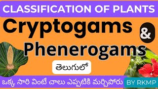 classification of plants telugu cryptogames phenerogams gymnosperms angiosperms csirnetcoaching [upl. by Goodill]