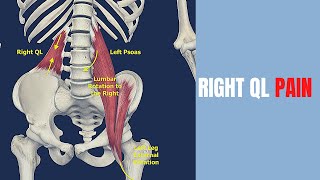 Quadratus Lumborum and Left Psoas Stretches for Pelvic Tilts [upl. by Julianna261]