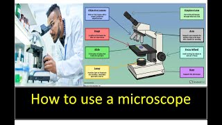 Microscope Parts and Functions  HOW TO USE A MICROSCOPE THUNDEREDUC BY MSAIDI [upl. by Nihhi827]