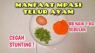 RESEP MPASI 9 BULAN SIMPLE  MPASI TELUR MUDAH amp CEPAT  TIDAK DISARING [upl. by Eelana560]