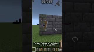 Minecraft armour stand hacks minecraft minecrfart minecrafthumor [upl. by Adiaj848]