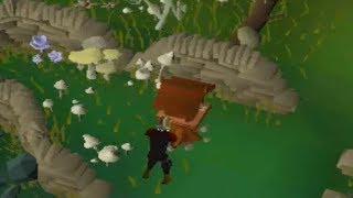 Birdhouse Guide OSRS 2022 [upl. by Alice583]