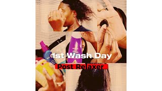 Post Relaxer Wash Day Routine  Co Wash for dry hair washday cowash hairroutine relaxedhair [upl. by Charry]