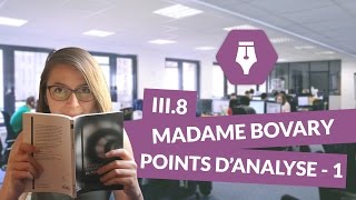 Lecture commentée de Madame Bovary  partie III  chapitre 8  points d’analyse 1  Littérature [upl. by Elatsyrk]